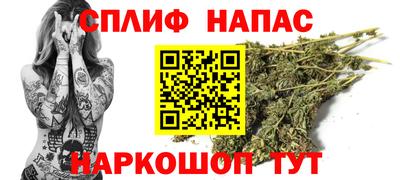 крисы Вязьма