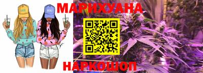 крисы Вязьма