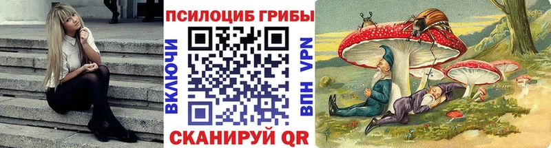 Галлюциногенные грибы Psilocybine cubensis  где купить   Курганинск 